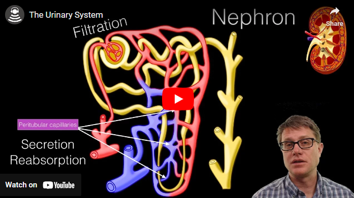Claims Dept Medical Terminology